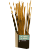 Wierook stokjes Patchouli de jaïpur - Ecological Incense
