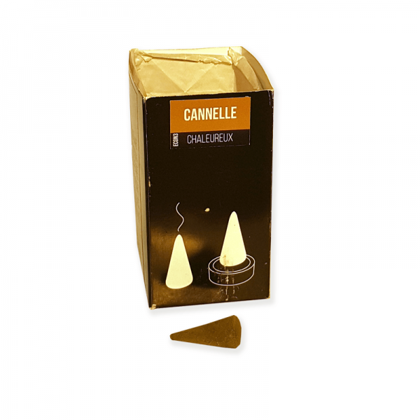 WAARUtrecht.nl - Ecologische Wierookkegel Cannelle chaleureux