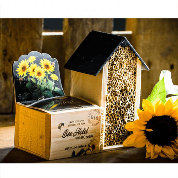 Seeds en Beehotel Bio Mini Sunflower - Baza