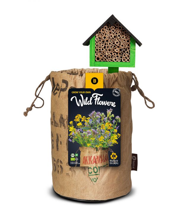 Kweektas met Insectenhotel Seeds en Wild Flower Bio Geel - Baza