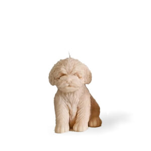 Kaarsen Hondje Beige 7cm - Sweet-Deco Creative