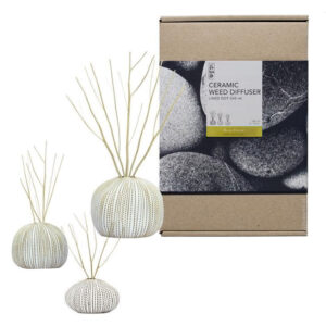 Diffuser Ceramic Set Deep Forest 240ml - BsaB