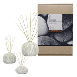 Diffuser Ceramic Set Himalayan Spices 240ml - BsaB