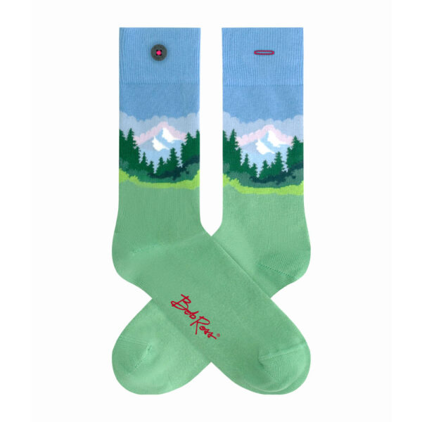 Sokken 2 Socks in a Box Bob Ross - Adam