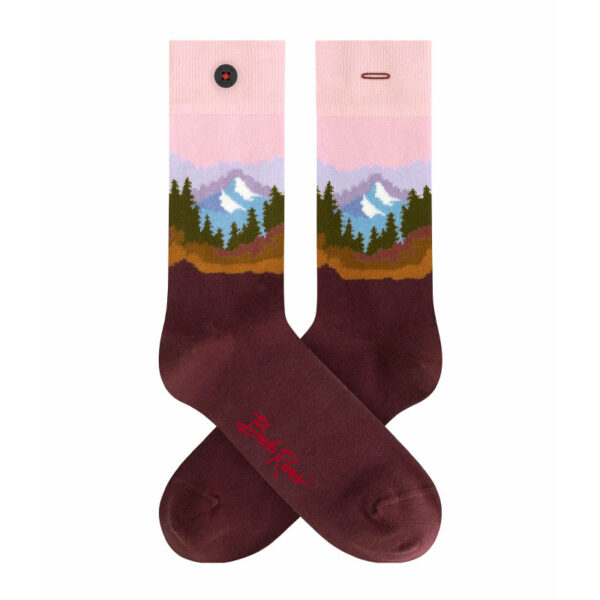 Sokken 2 Socks in a Box Bob Ross - Adam