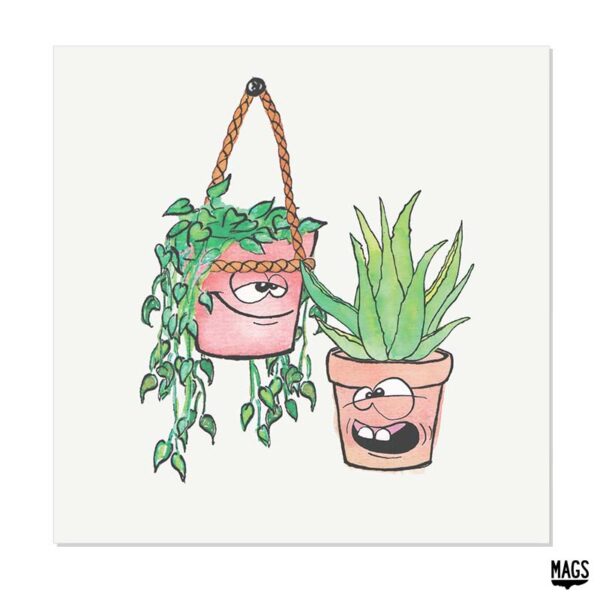 Wenskaarten - Aloe Vera