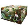 Opbergdoos Vogels Art of Nature - Dutch Design