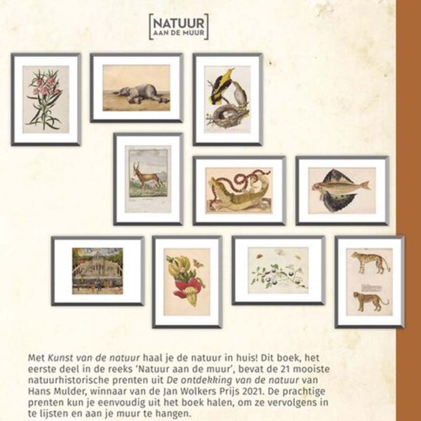 Boek Natuur aan de muur - Kunst van de natuur