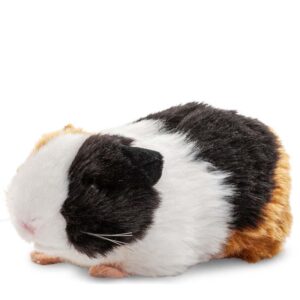 Cavia - Uni-Toys