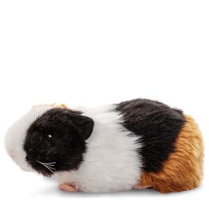 Cavia - Uni-Toys