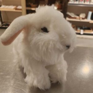 Konijntje met Hangoren - Uni-Toys