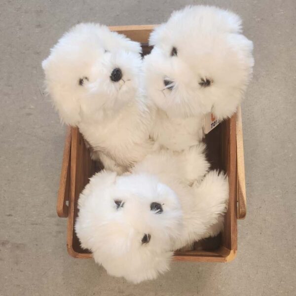 Malteser Hondje - Uni-Toys