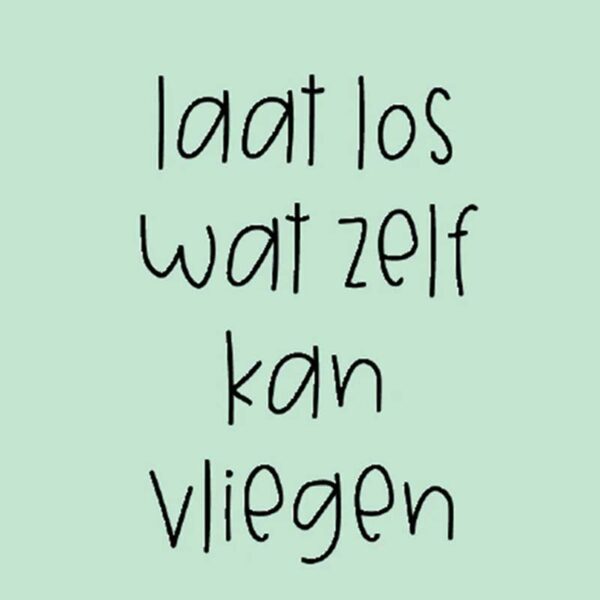 Boekenlegger Laat los - Veronzinsels