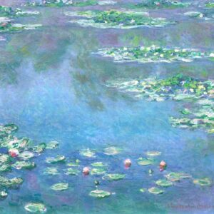 Waterlelies - Kunstsokken