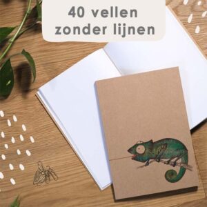 Notitieboekje Vliegenvanger A5 | Ligarti