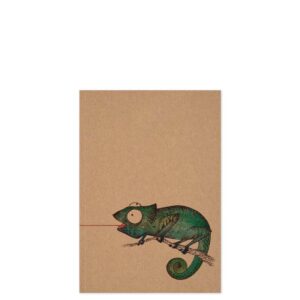 Notitieboekje Vliegenvanger A6 | Ligarti