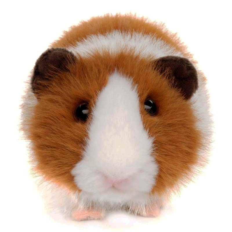 Cavia Uni-Toys Knuffel Wit-Bruin 21 cm | Realistische Pluche Cavia