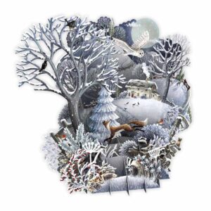 Me&McQ 3D Pop-up Kerstkaart Silent Night